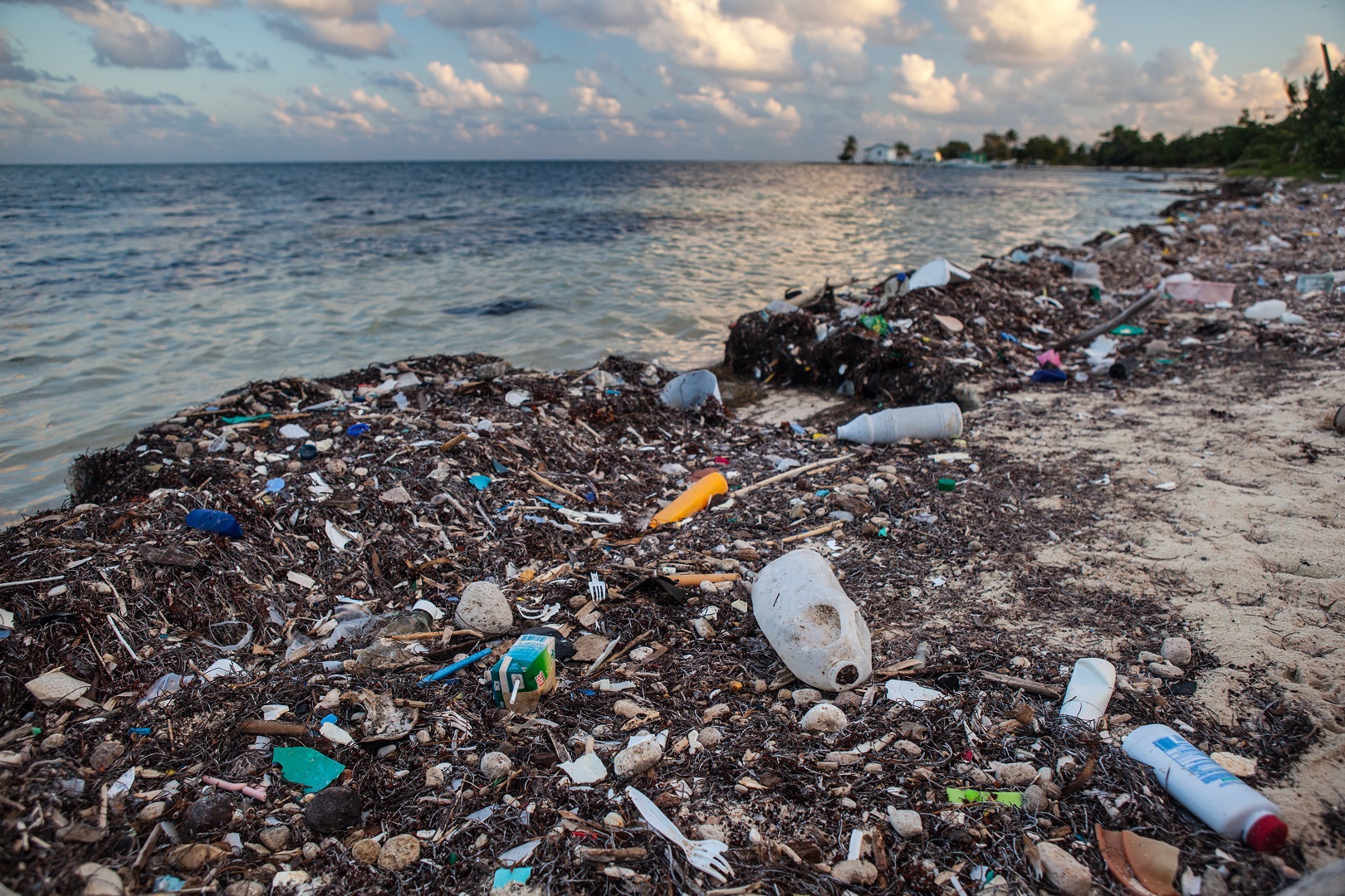 plastic-pollution-on-beach