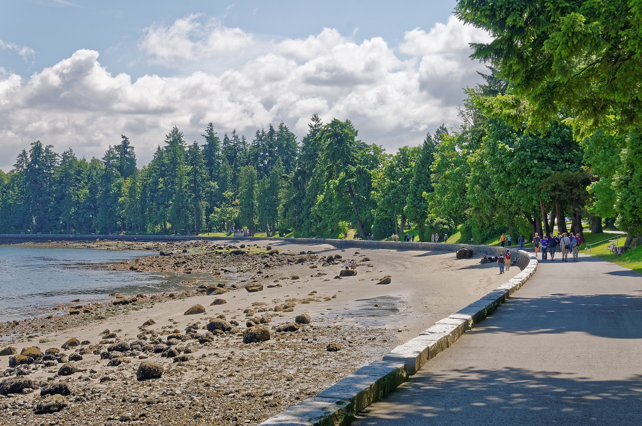 nature-walk-stanley-park-vancouver