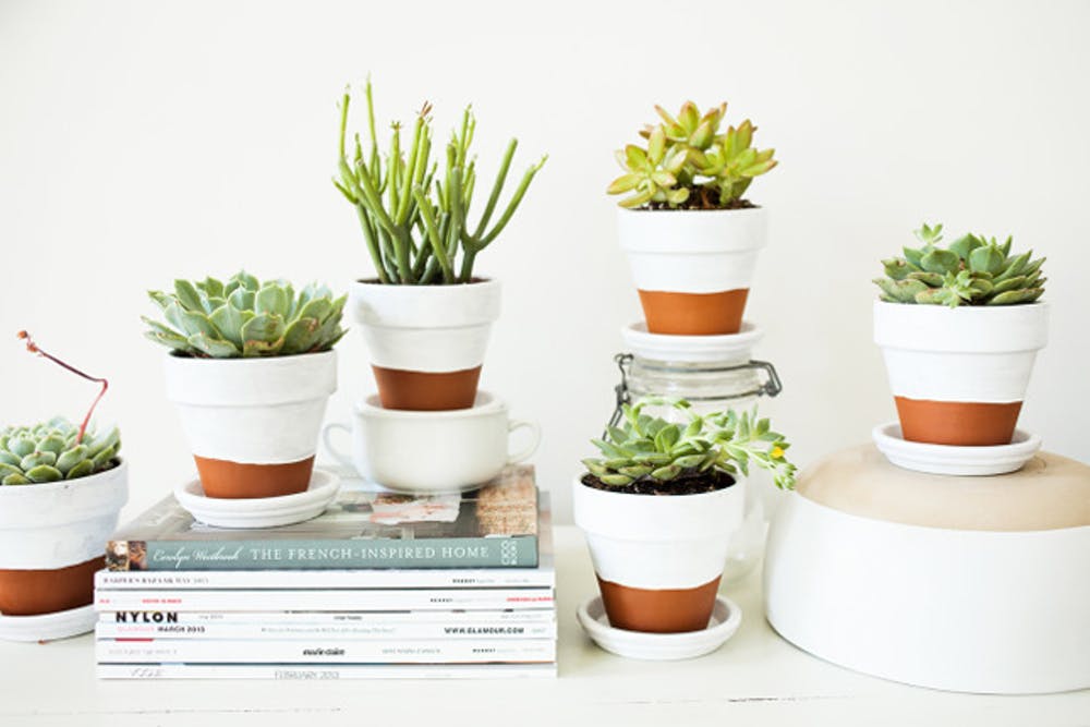 Paint plant pots white!