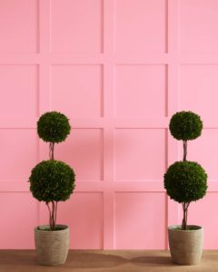 Mild Pink, one of Benjamin Moore’s summer paints to cool your home 
